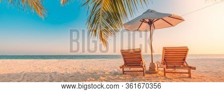 Tropical Beach Resort Hotel Background As Summer Landscape With Lounge Chairs And Palm Trees In Sun 