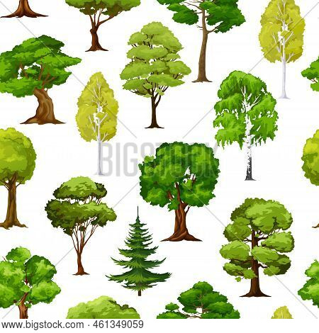 Cartoon Forest And Garden Green Trees, Seamless Pattern Background, Vector. Park Nature Landscape Wi