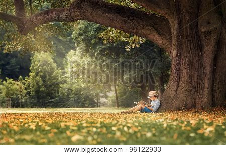 Little Boy Reading A Book Under Big Linden Tree