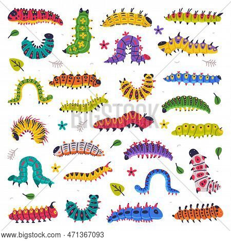 Bright Caterpillars As Larval Stage Of Insect Crawling And Creeping Vector Set