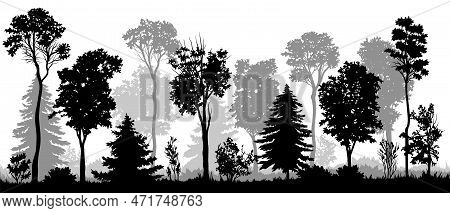 Forest Landscape Silhouette. Black And White Banner With Trees, Bushes. Panorama With Alley, Park, W