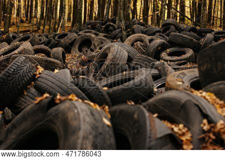 Old Car Wheels In Autumn Park With Fallen Leaves. Pile Of Used Rubber Car Tires On The Ground Outdoo