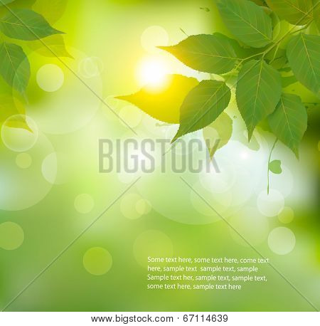 Nature background with green spring leaves. Vector illustration.