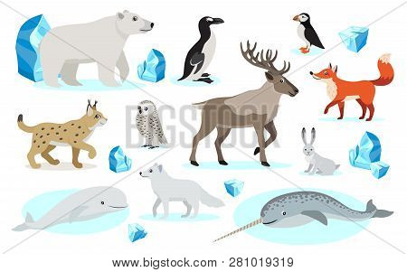 Set Of Polar Animals Icons, Isolated On White Background