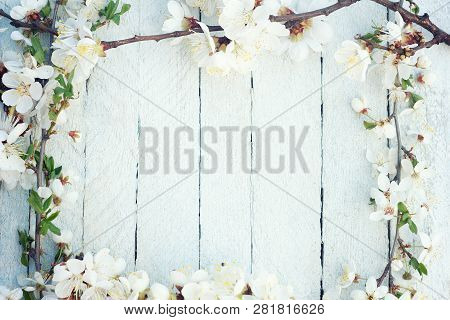 Spring Flowers On Wooden Table Background. Plum Blossom. Top View.spring Cherry Blossom On A Old Woo