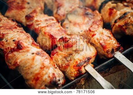 Grilled Caucasus Barbecue