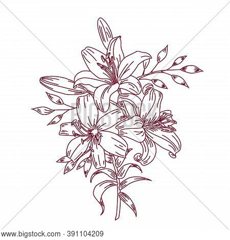 Graphical Flower Illustration. Black Flower, Contour Flower, Bloom Flower, Decorative Flower, Isolat