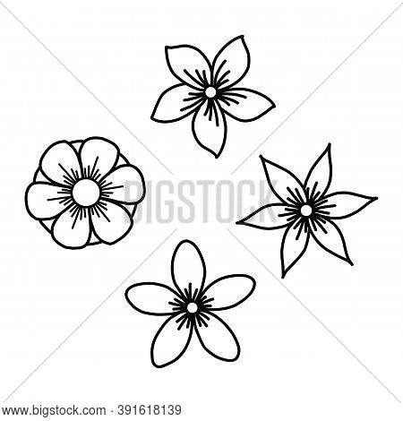 Graphical Flower Illustration. Black Flower, Contour Flower, Bloom Flower, Decorative Flower, Isolat