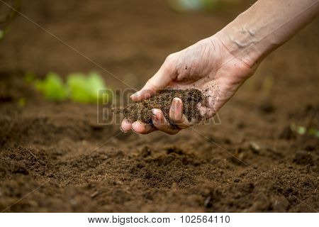 Woman Holding A Handful Of Rich Fertile Soil