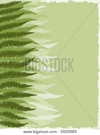 Fern Fronds achtergrond