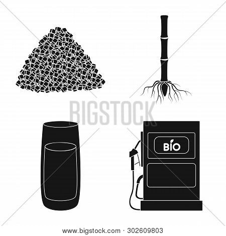 Isolated Object Of Sucrose And Technology Logo. Collection Of Sucrose And Cane Stock Symbol For Web.