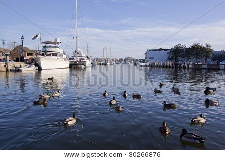 ANNAPOLIS-DEC 25: Yachts moored along the City Dock in Annapolis, Maryland on December 25, 2011. This section of the dock is called 'Ego Alley'.