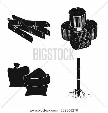 Vector Illustration Of Sucrose And Technology Icon. Collection Of Sucrose And Cane Vector Icon For S