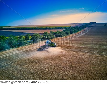 Aerial View On Combine Harvester Gathers The Wheat At Sunset. Harvesting Grain Field, Crop Season. V