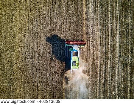 Aerial View On Combine Harvester Gathers The Wheat At Sunset. Harvesting Grain Field, Crop Season. V