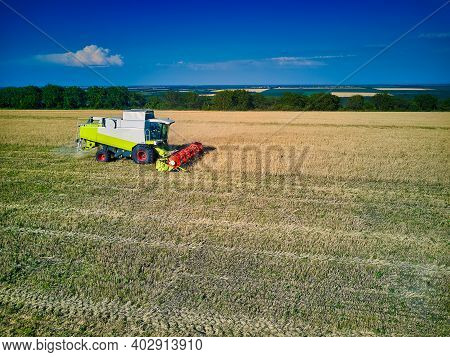 Aerial View On Combine Harvester Gathers The Wheat At Sunset. Harvesting Grain Field, Crop Season. V