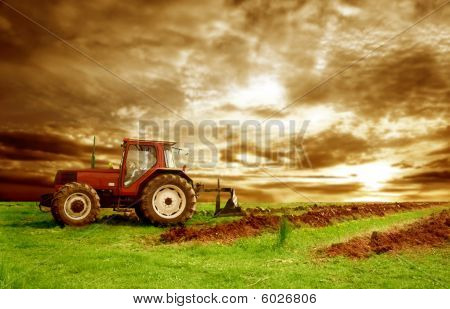 Agriculture