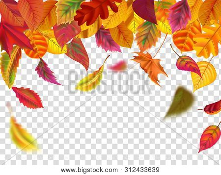 Autumn Leaves Fall. Falling Blurred Leaf, Autumnal Foliage Fall And Wind Rises Yellow Leaves. Leaf D