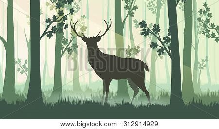 Deer In Forest Silhouettes. Wood Horizontal Foresting Ponarama With Trees Trunks And Wildlife Deer S