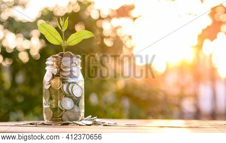 Growing Money, Business Finance And Savings Money Invest , Balance Savings And Investment, Plant Gro