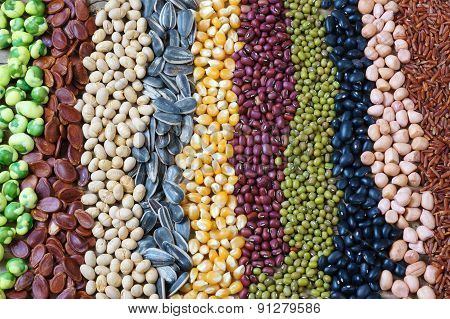 Collection Of Grain, Cereal, Seed, Bean