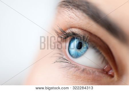 Beautiful human eye close-up. Young Woman Blue one eye macro shoot. Macro Closeup eye looking up, isolated on white background. Eyelashes, eyebrows closeup