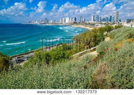 View Of The Beach And Skyline Of Tel-aviv