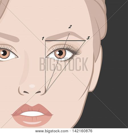 Vector illustration of woman face and eyebrow mapping. How to shape your brows at home. Makeup tips. Perfect eyebrow shape for your face.