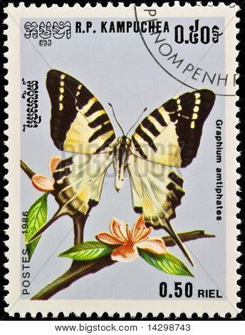 Stamp, Butterfly And Flower.