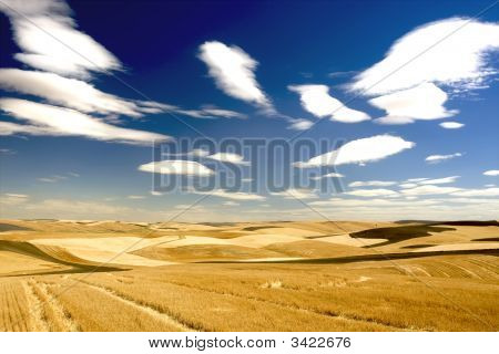 Terres agricoles aux États-Unis région Palouse