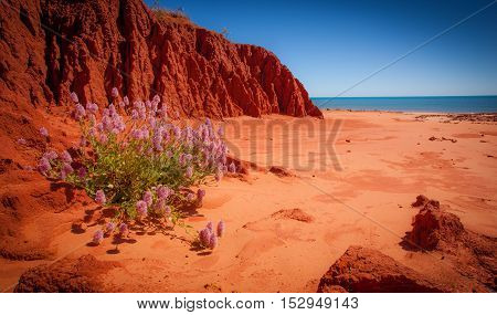 James Price Point North of Broome has been the subject of considerable controversy in recent times. Although I have been to very many beautiful spots along the Dampier Peninsular I had never been to James Price Point so while in Broome we decided to exper