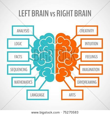 Brain hemispheres infographics