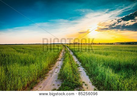 Sunset over rural road in green field