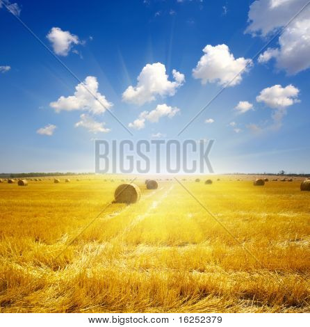 botte de foin sur le pré en été