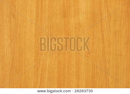 maple   tree wood textured background