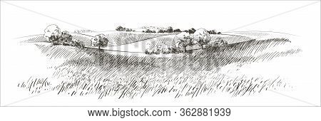 Vector Sketch Green Grass Field On Small Hills. Meadow, Alkali, Lye, Grassland, Pommel, Lea, Pastura