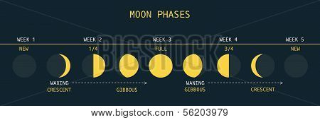 Moon Phases Northern Hemisphere.eps