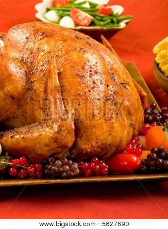 Holiday Turkey