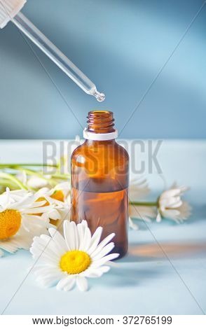 Bottle Of Camomille Essential Oil On A Blue Background. Beauty Concept.