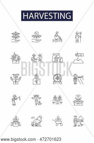 Harvesting Line Vector Icons And Signs. Reap, Crop, Collect, Pluck, Winnow, Pick, Cull, Harvesting O