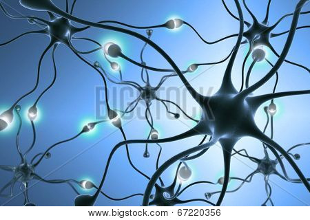 neurons, transferring pulses and generating information.