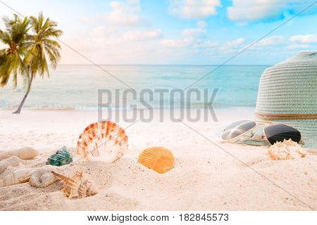 Summer accessories on sandy in seaside summer beach with starfish shells coral on sandbar and blur sea background. Concept of recreation in summertime on tropical beach. vintage color tone styles.