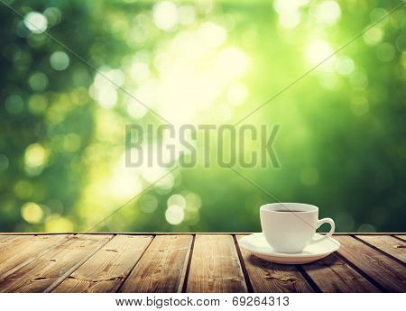 cup coffee and sunny trees background