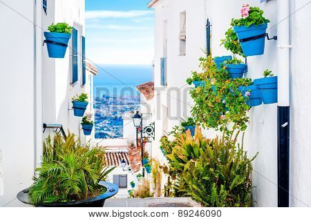 Picturesque Street Of Mijas With Flower Pots In Facades