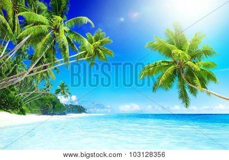 Tropical Paradise Beach Seascape Travel Destination Concept