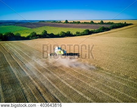 Aerial View On Combine Harvester Gathers The Wheat At Sunset. Harvesting Grain Field, Crop Season. V