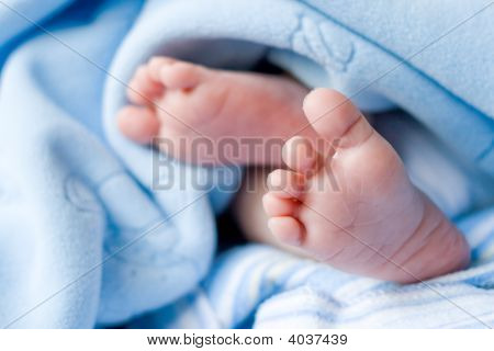 Cute Baby Feet