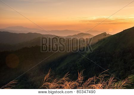 The Beam And The Layer Of Nature