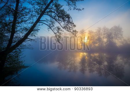 Morning fog on a forest river