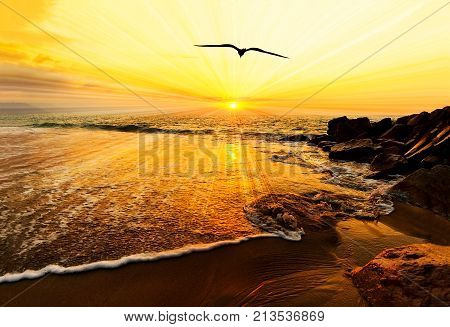 Sunset ocean bird silhouette is a bird flying with wings spread flying toward the light of of freedom and inspiration over the ocean sunset.